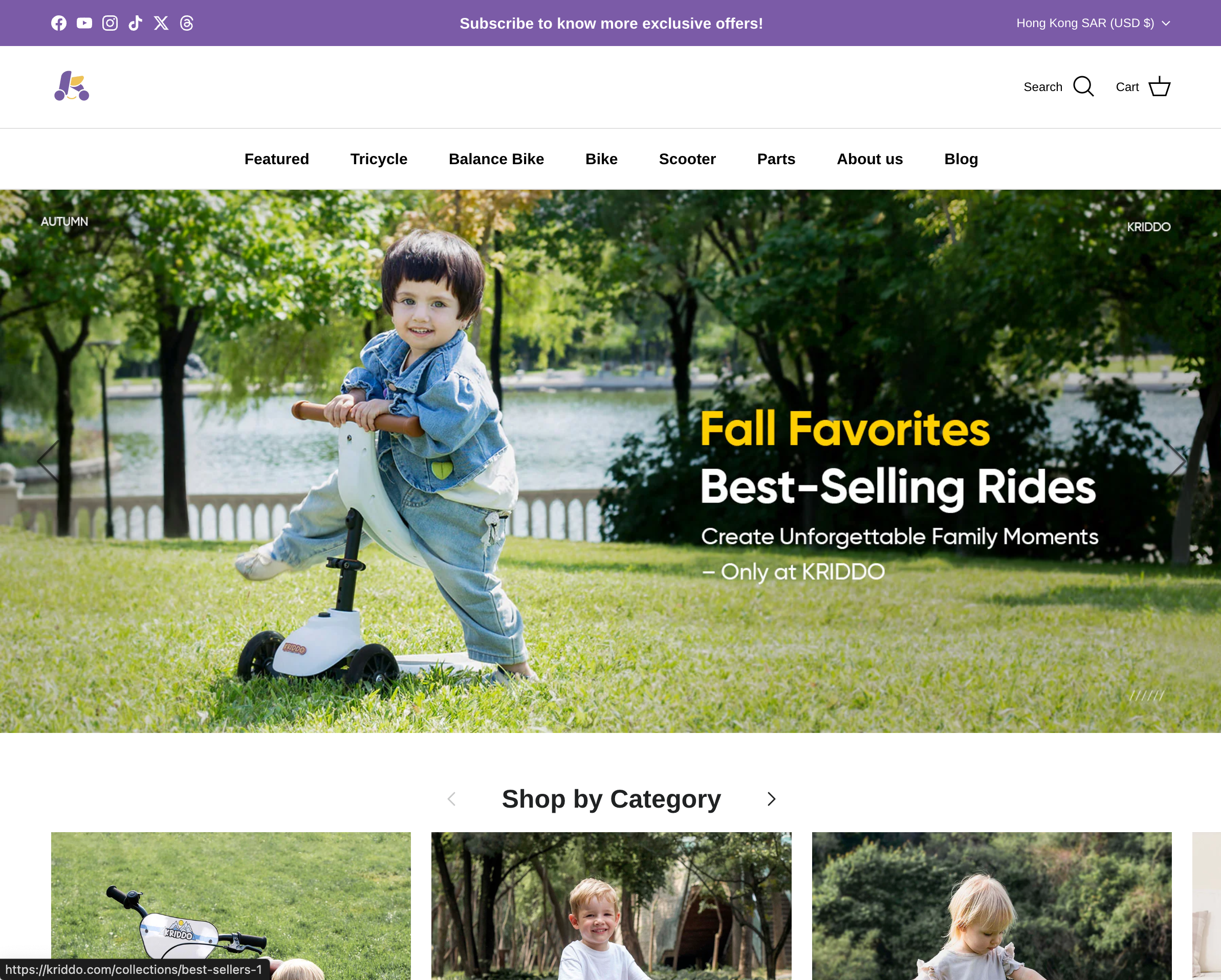 儿童车类目独立站